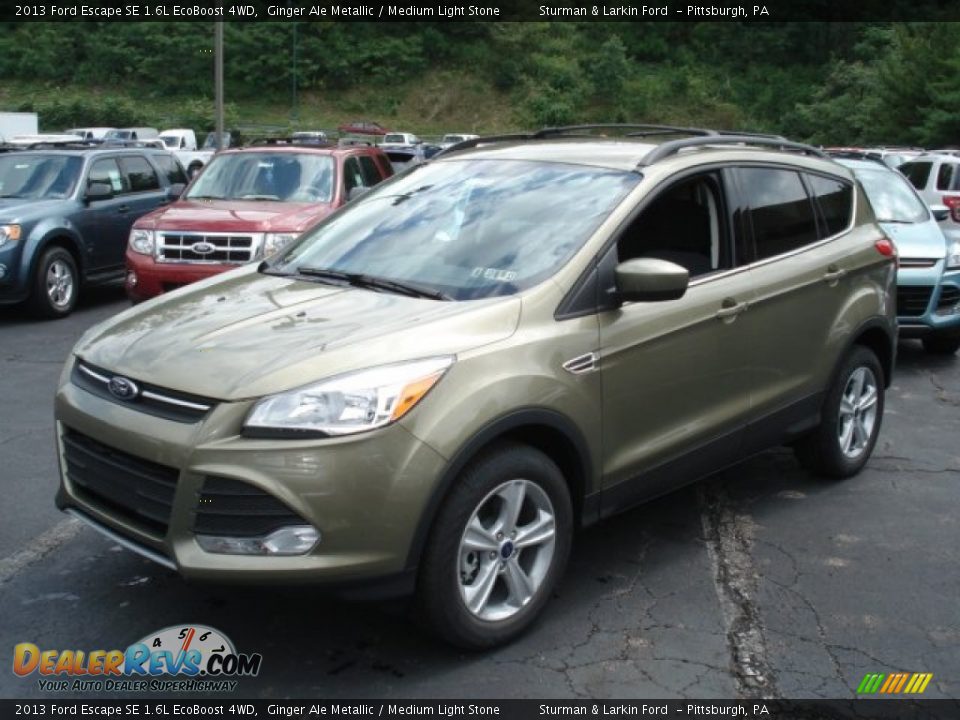 Front 3/4 View of 2013 Ford Escape SE 1.6L EcoBoost 4WD Photo #3