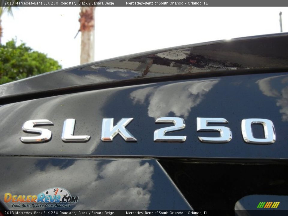 2013 Mercedes-Benz SLK 250 Roadster Black / Sahara Beige Photo #5