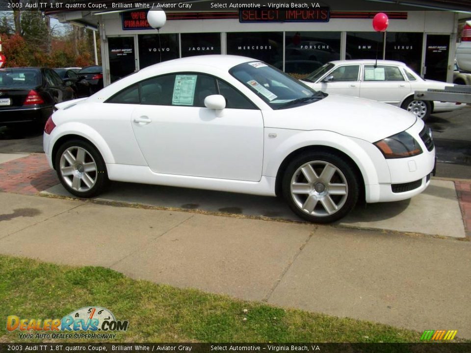 2003 Audi TT 1.8T quattro Coupe Brilliant White / Aviator Gray Photo #6