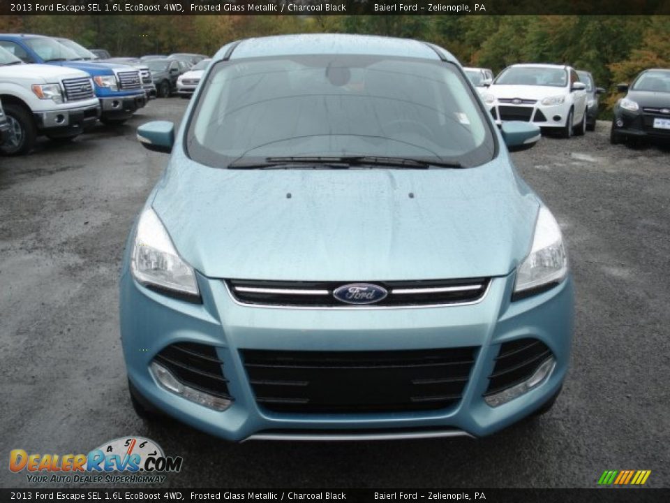 2013 Ford Escape SEL 1.6L EcoBoost 4WD Frosted Glass Metallic / Charcoal Black Photo #3