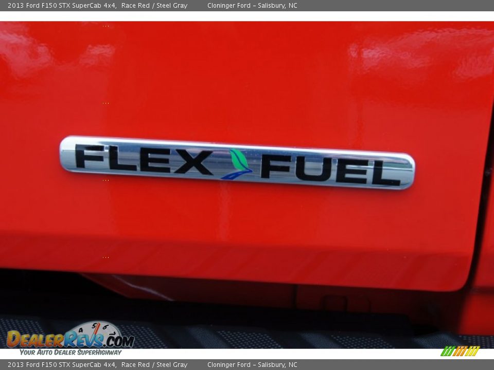 2013 Ford F150 STX SuperCab 4x4 Logo Photo #20
