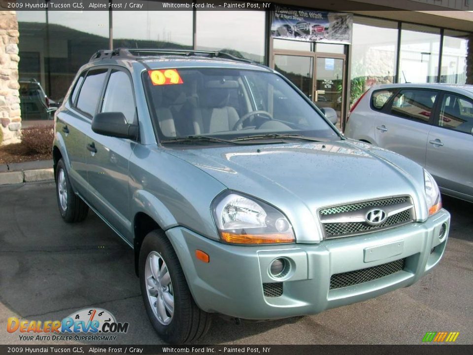 2009 Hyundai Tucson GLS Alpine Frost / Gray Photo #2