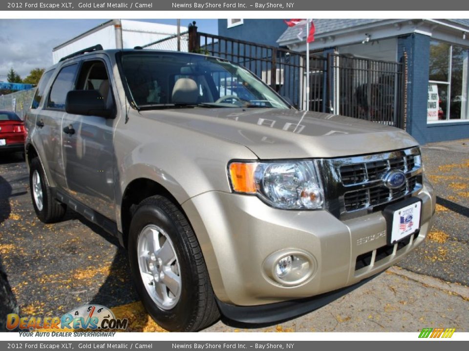 2012 Ford Escape XLT Gold Leaf Metallic / Camel Photo #6