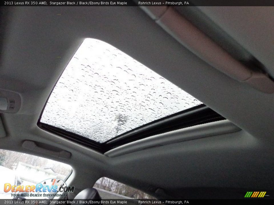 2013 Lexus RX 350 AWD Stargazer Black / Black/Ebony Birds Eye Maple Photo #15