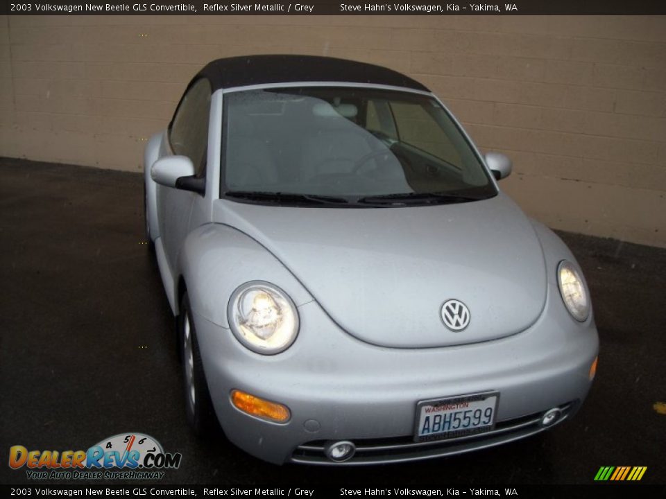 2003 Volkswagen New Beetle GLS Convertible Reflex Silver Metallic / Grey Photo #2