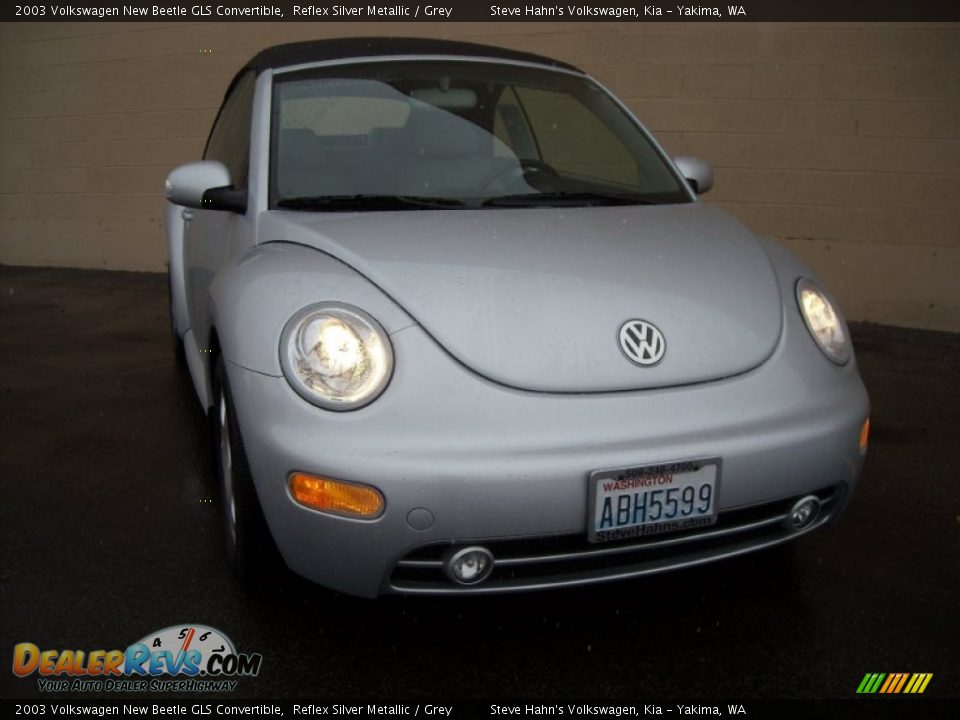2003 Volkswagen New Beetle GLS Convertible Reflex Silver Metallic / Grey Photo #3