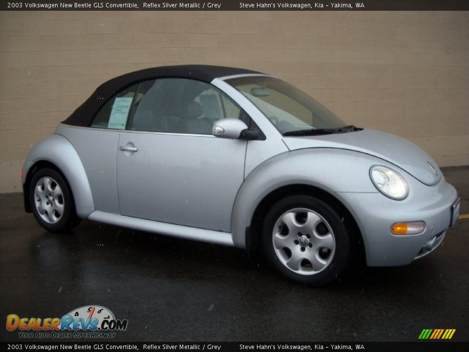 2003 Volkswagen New Beetle GLS Convertible Reflex Silver Metallic / Grey Photo #6
