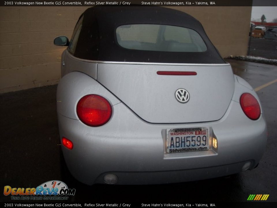 2003 Volkswagen New Beetle GLS Convertible Reflex Silver Metallic / Grey Photo #8