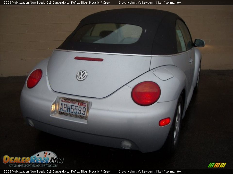 2003 Volkswagen New Beetle GLS Convertible Reflex Silver Metallic / Grey Photo #9