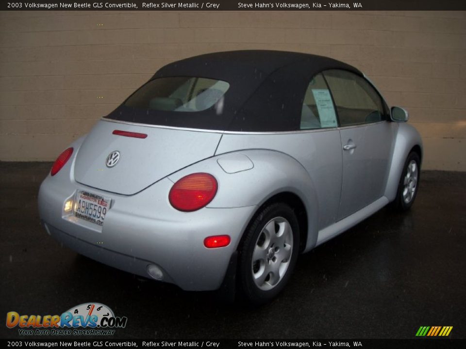 2003 Volkswagen New Beetle GLS Convertible Reflex Silver Metallic / Grey Photo #10