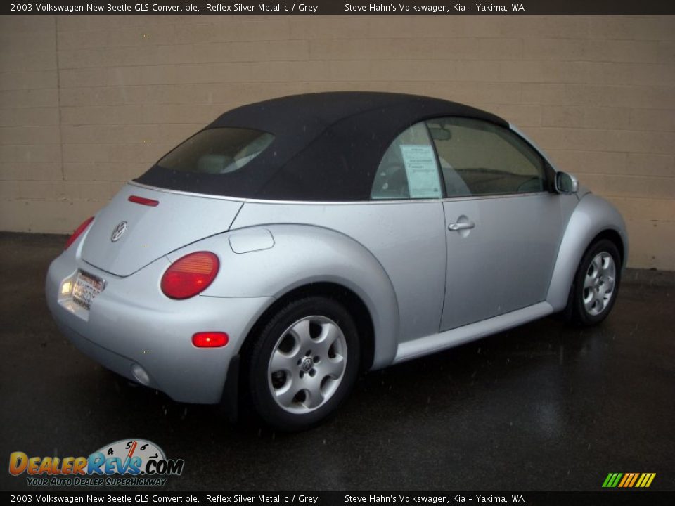 2003 Volkswagen New Beetle GLS Convertible Reflex Silver Metallic / Grey Photo #11