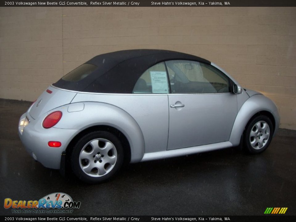 2003 Volkswagen New Beetle GLS Convertible Reflex Silver Metallic / Grey Photo #12