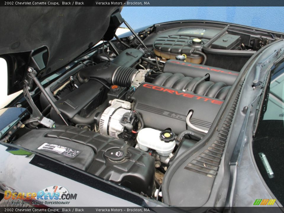 2002 Chevrolet Corvette Coupe Black / Black Photo #10