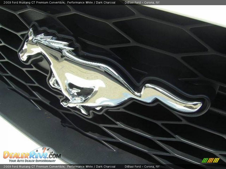2009 Ford Mustang GT Premium Convertible Performance White / Dark Charcoal Photo #2
