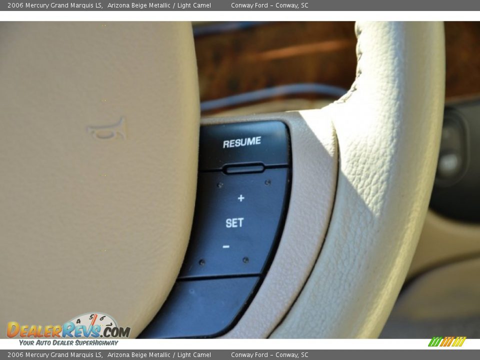 2006 Mercury Grand Marquis LS Arizona Beige Metallic / Light Camel Photo #22