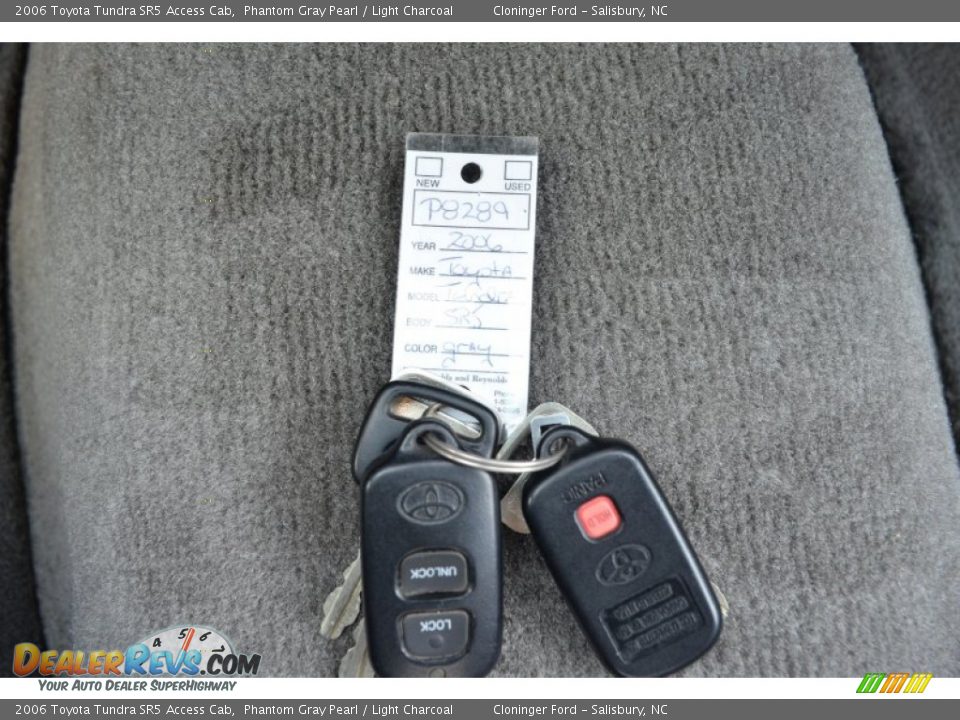 2006 Toyota Tundra SR5 Access Cab Phantom Gray Pearl / Light Charcoal Photo #28