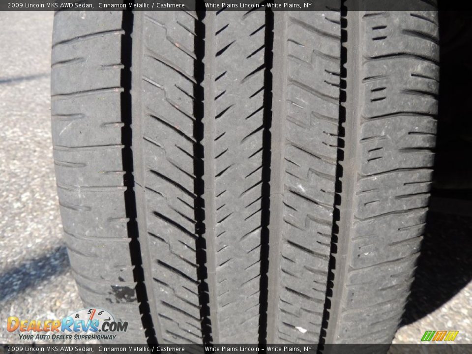 2009 Lincoln MKS AWD Sedan Cinnamon Metallic / Cashmere Photo #2