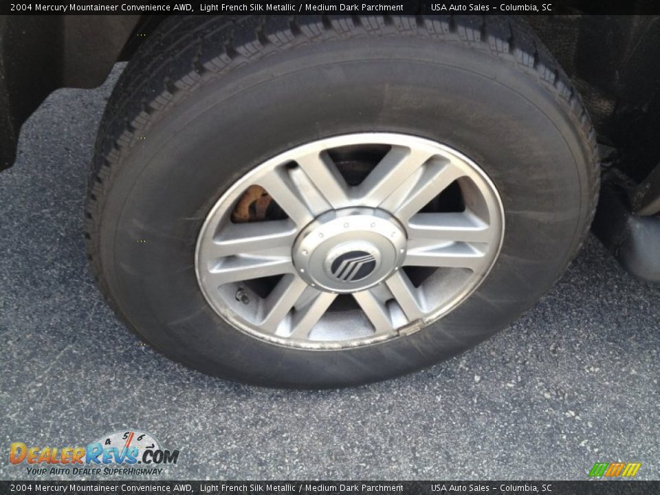 2004 Mercury Mountaineer Convenience AWD Light French Silk Metallic / Medium Dark Parchment Photo #6