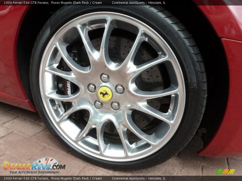 2009 Ferrari 599 GTB Fiorano  Wheel Photo #15