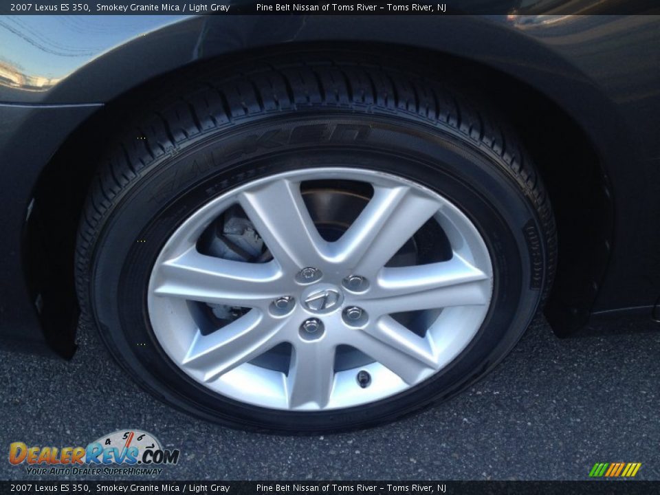 2007 Lexus ES 350 Smokey Granite Mica / Light Gray Photo #3