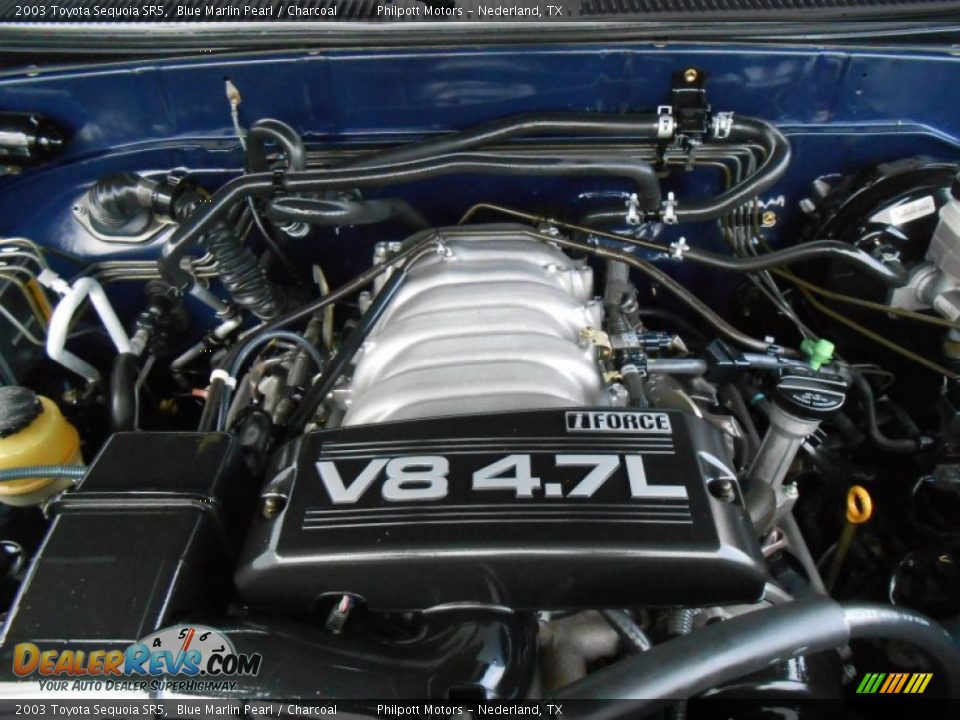 2003 Toyota Sequoia SR5 Blue Marlin Pearl / Charcoal Photo #25