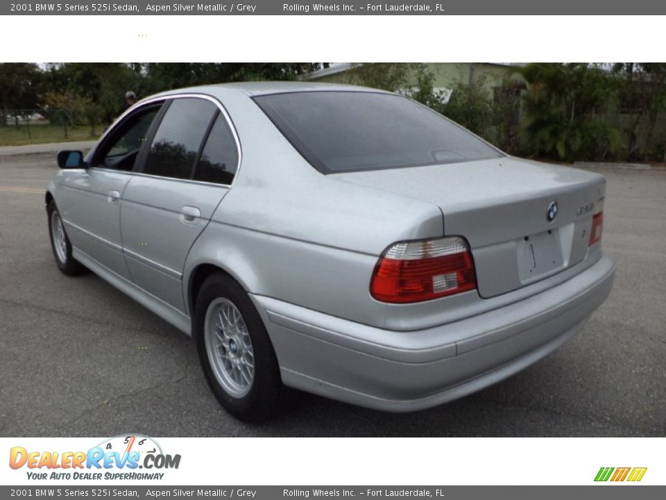 2001 BMW 5 Series 525i Sedan Aspen Silver Metallic / Grey Photo #5