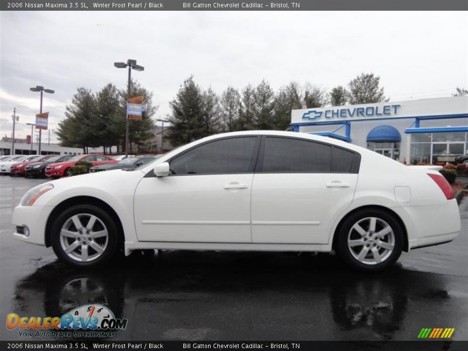 2006 Nissan Maxima 3.5 SL Winter Frost Pearl / Black Photo #4