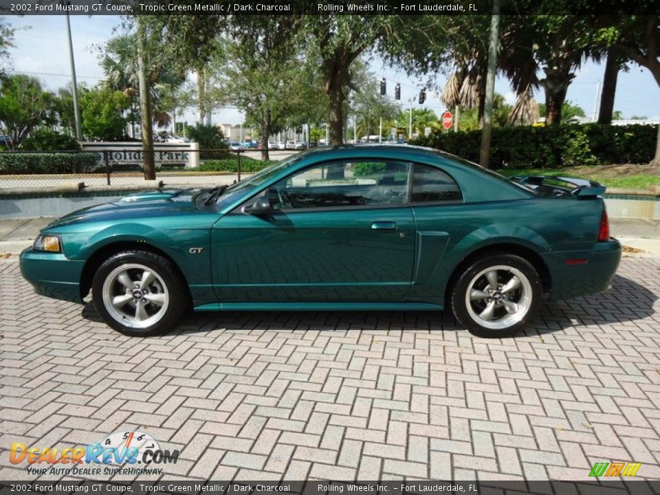 Tropic Green Metallic 2002 Ford Mustang GT Coupe Photo #11