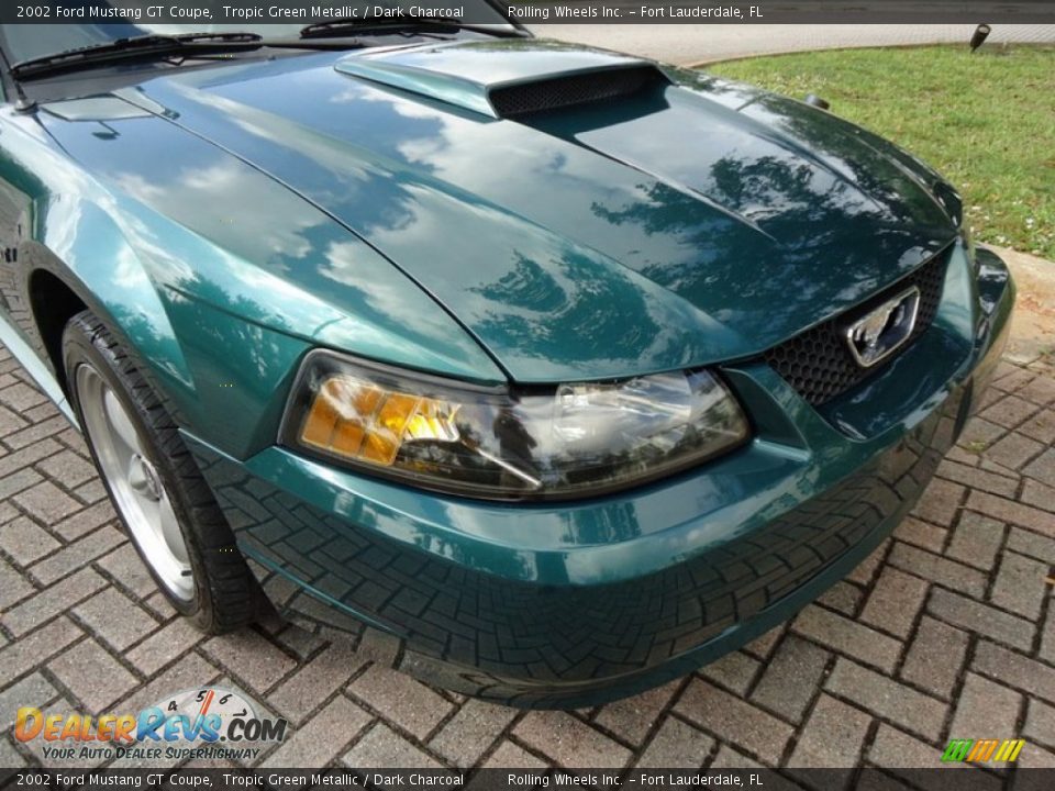 2002 Ford Mustang GT Coupe Tropic Green Metallic / Dark Charcoal Photo #15