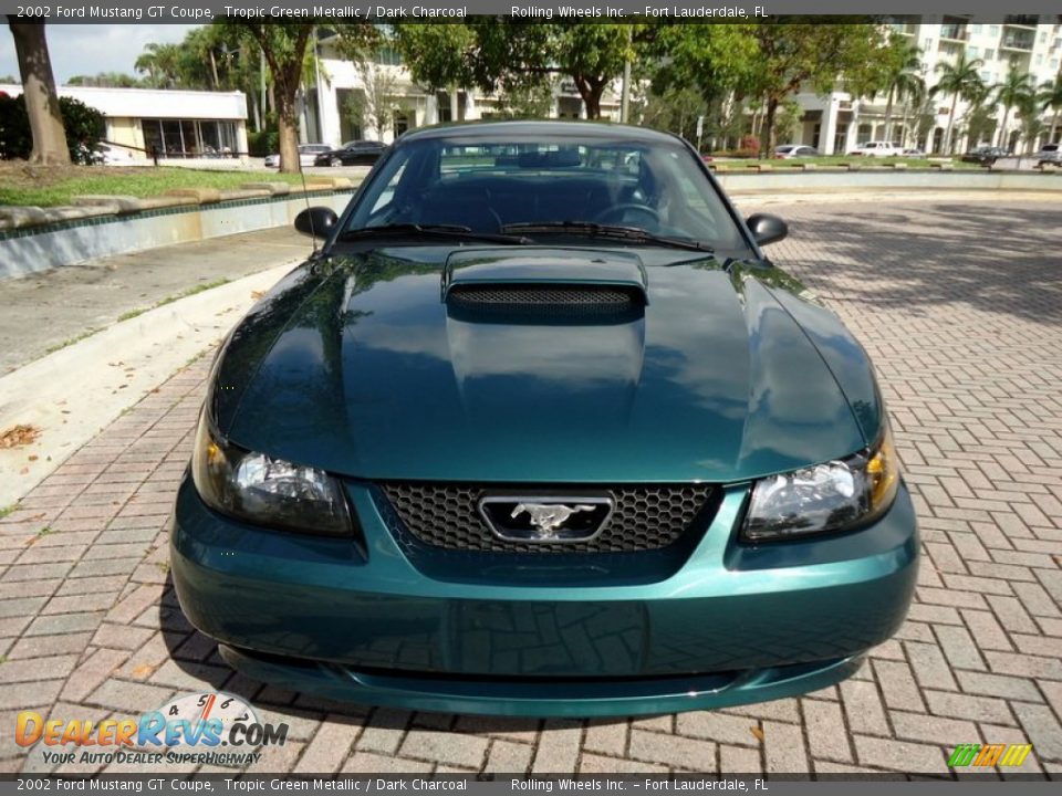 Tropic Green Metallic 2002 Ford Mustang GT Coupe Photo #23
