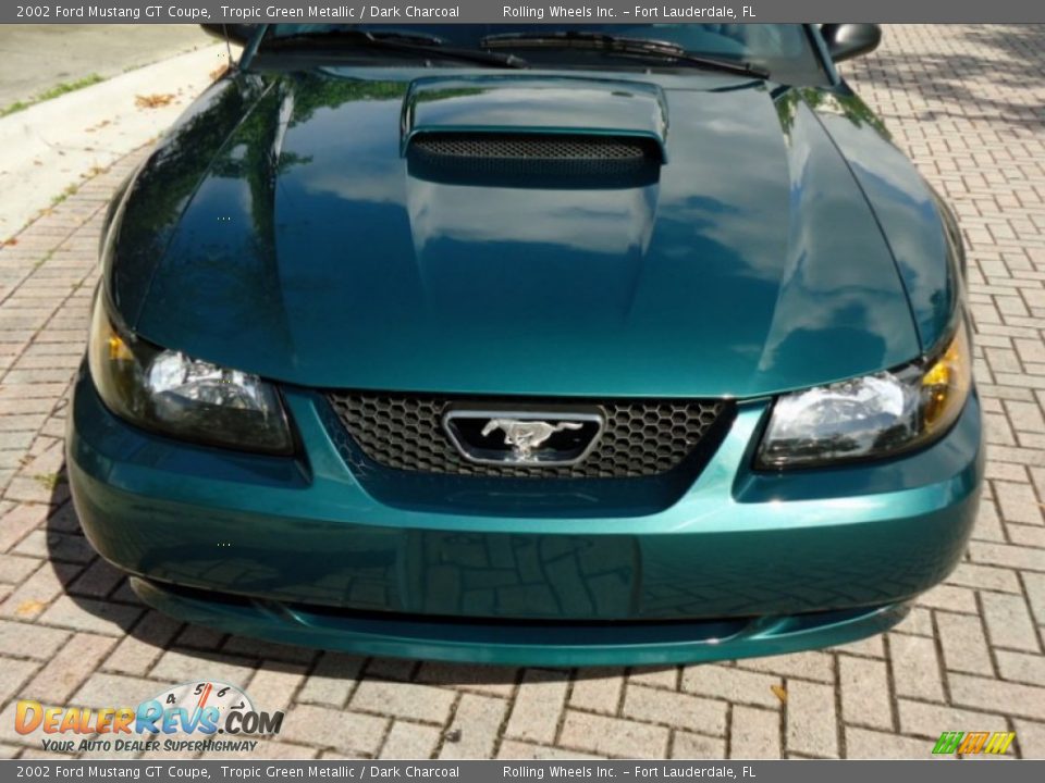 2002 Ford Mustang GT Coupe Tropic Green Metallic / Dark Charcoal Photo #34