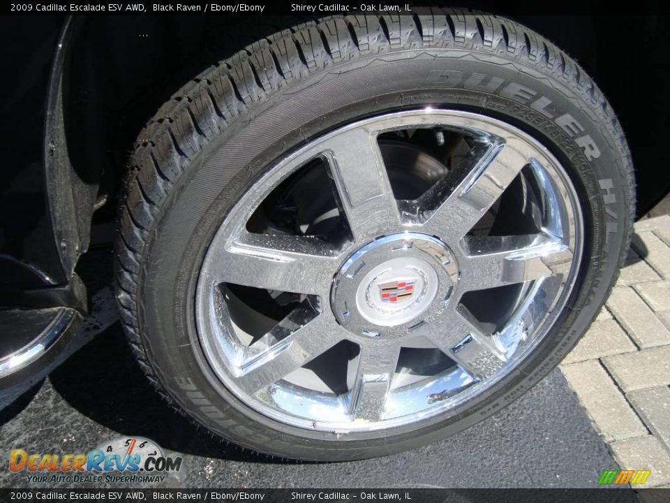 2009 Cadillac Escalade ESV AWD Black Raven / Ebony/Ebony Photo #8