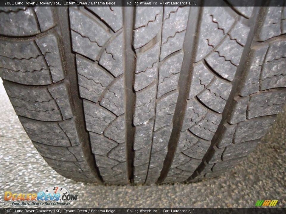 2001 Land Rover Discovery II SE Epsom Green / Bahama Beige Photo #36