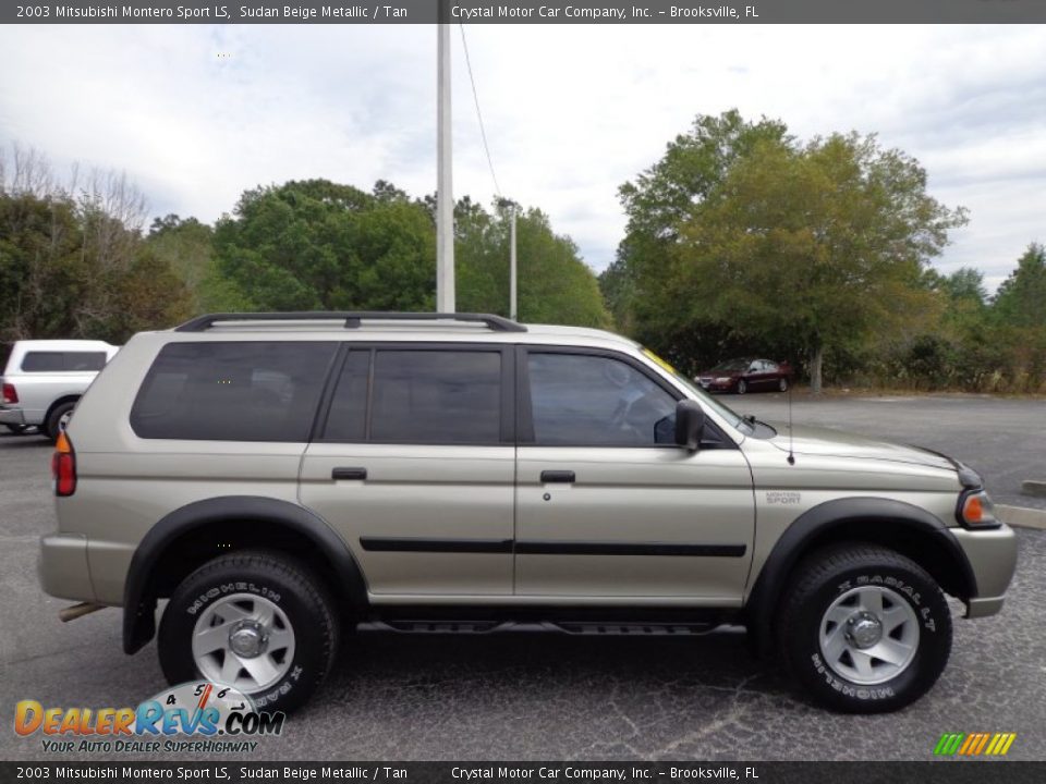 2003 Mitsubishi Montero Sport LS Sudan Beige Metallic / Tan Photo #10