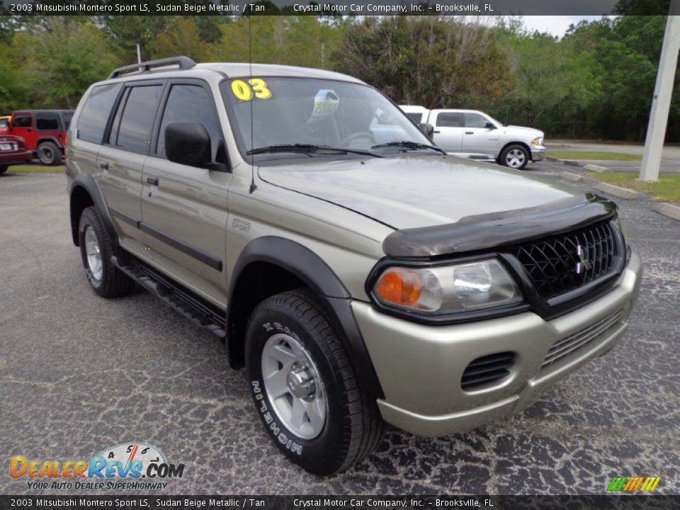 2003 Mitsubishi Montero Sport LS Sudan Beige Metallic / Tan Photo #11