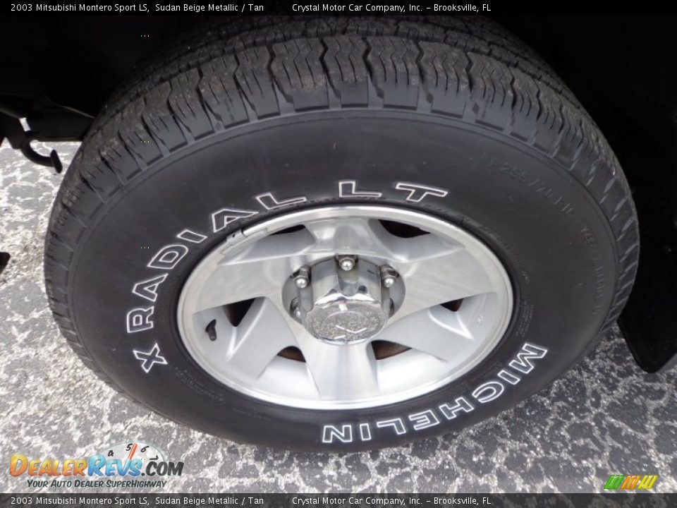 2003 Mitsubishi Montero Sport LS Sudan Beige Metallic / Tan Photo #15