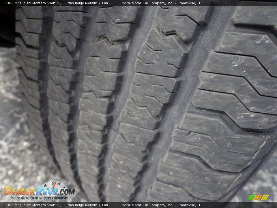 2003 Mitsubishi Montero Sport LS Sudan Beige Metallic / Tan Photo #16