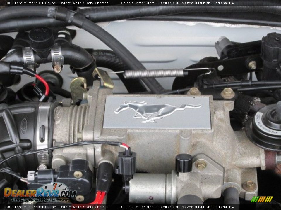 2001 Ford Mustang GT Coupe Logo Photo #10