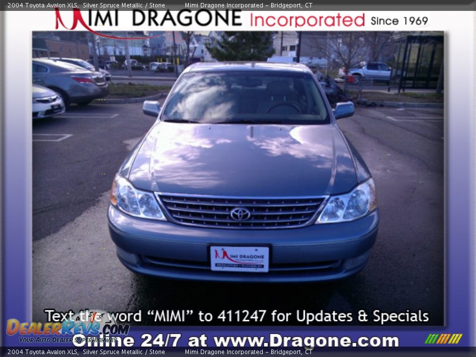 2004 Toyota Avalon XLS Silver Spruce Metallic / Stone Photo #2
