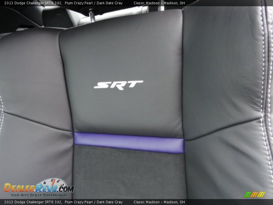 2013 Dodge Challenger SRT8 392 Logo Photo #6