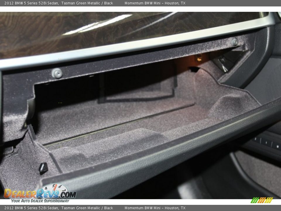 2012 BMW 5 Series 528i Sedan Tasman Green Metallic / Black Photo #19