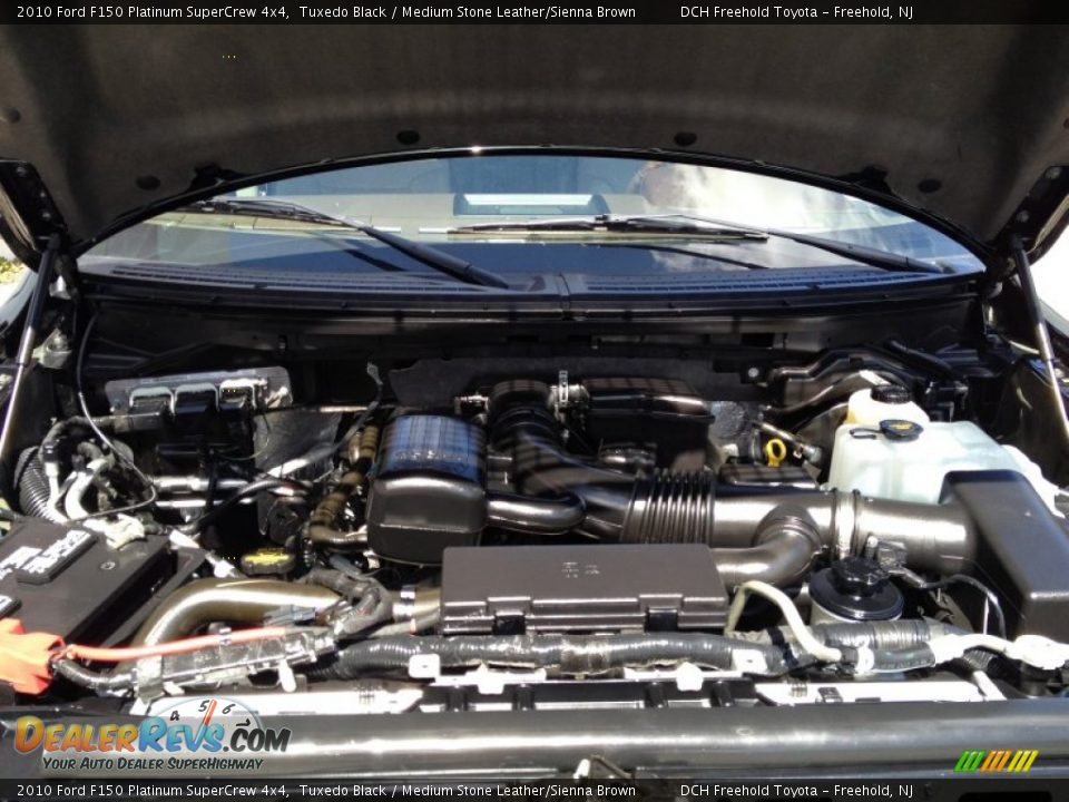 2010 Ford F150 Platinum SuperCrew 4x4 Tuxedo Black / Medium Stone Leather/Sienna Brown Photo #29