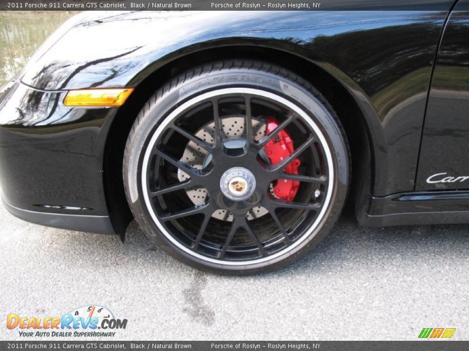 2011 Porsche 911 Carrera GTS Cabriolet Wheel Photo #11