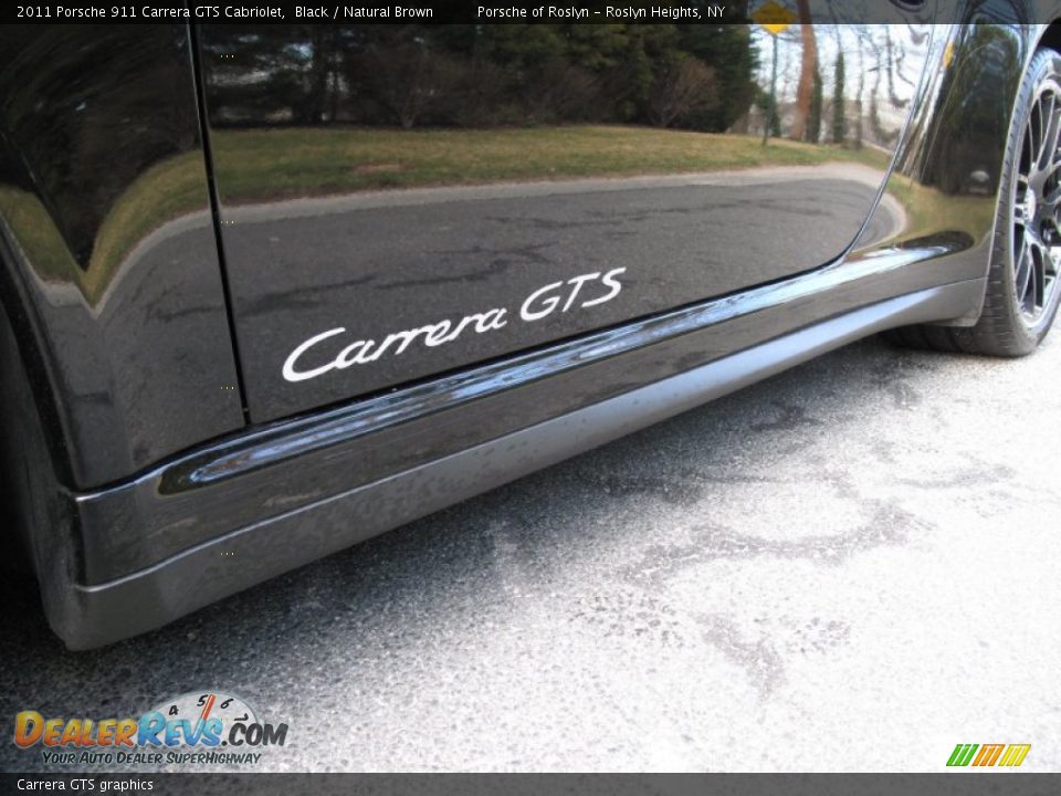 Carrera GTS graphics - 2011 Porsche 911