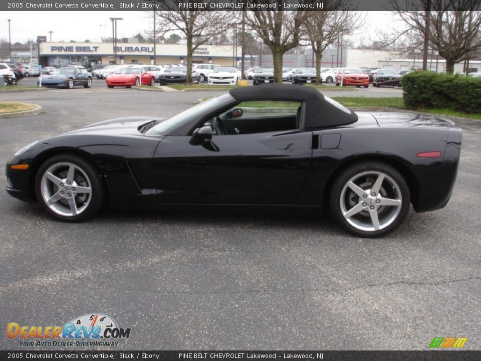 2005 Chevrolet Corvette Convertible Black / Ebony Photo #12