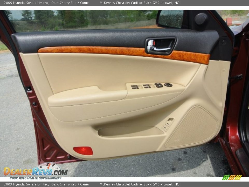 Door Panel of 2009 Hyundai Sonata Limited Photo #7