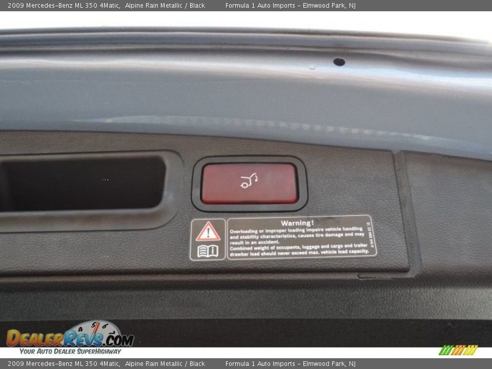 2009 Mercedes-Benz ML 350 4Matic Alpine Rain Metallic / Black Photo #25