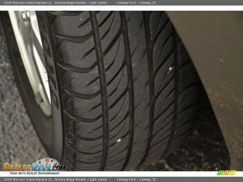 2006 Mercury Grand Marquis LS Arizona Beige Metallic / Light Camel Photo #11