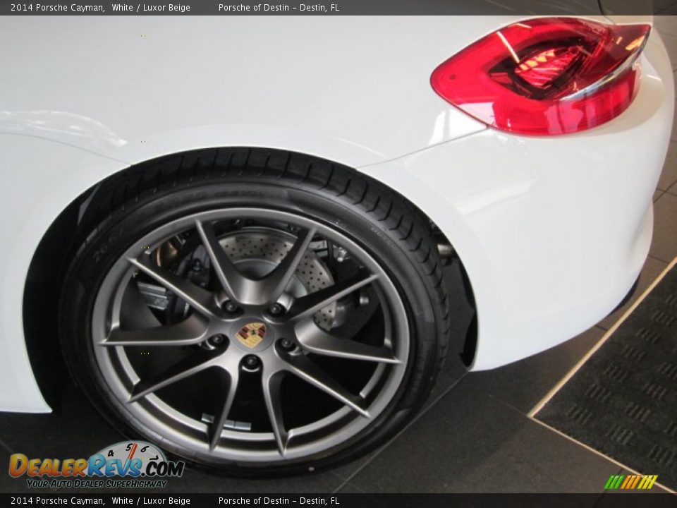 2014 Porsche Cayman  Wheel Photo #12