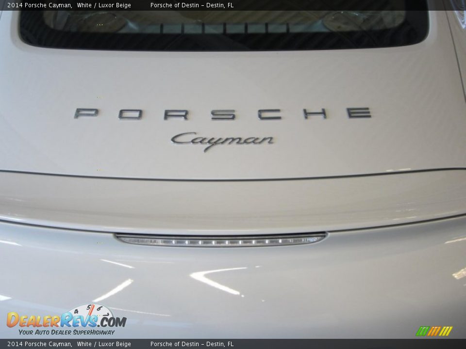 2014 Porsche Cayman  Logo Photo #30